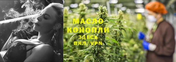 ешки Новодвинск