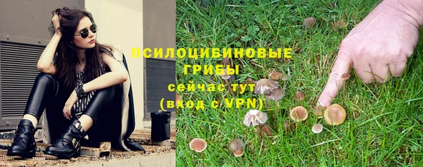 метадон Новозыбков