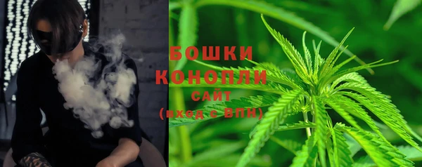 ешки Новодвинск