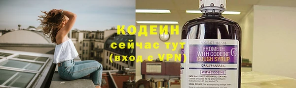 ешки Новодвинск