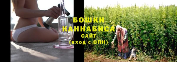 метадон Новозыбков