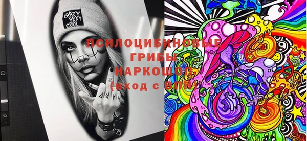 ешки Новодвинск