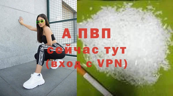прущие крисы Новокубанск